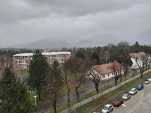 a street with cars parked on a road with buildings at Stankovic Apartman in Vranje