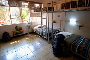 Zimmer mit 2 Etagenbetten und einem Fenster in der Unterkunft Hostel Hospedarte Chapultepec in Guadalajara