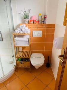 Kúpeľňa v ubytovaní Drevenica Uhorčík