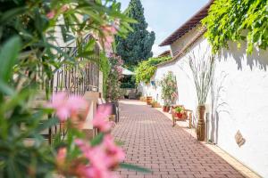 a cobblestone alley with pink flowers and plants at Laubgassl in Mörbisch am See