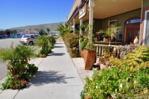 einen Gehweg vor einem Laden mit Pflanzen und Blumen in der Unterkunft Cayucos Sunset Inn in Cayucos