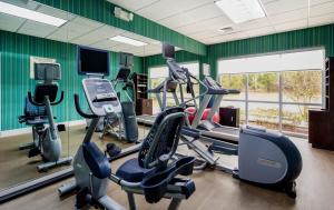 a gym with several treadmills and cardio machines at Holiday Inn Express Hotel & Suites Inverness, an IHG Hotel in Lecanto