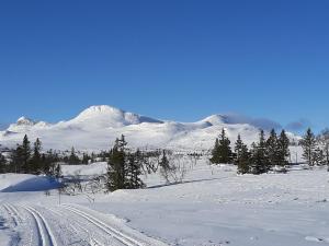 ein schneebedecktes Feld mit einem Berg im Hintergrund in der Unterkunft Gamlestugu Greivjord Fjellgard in Tuddal