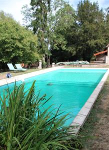 a swimming pool with blue water in a yard at Chateau Igny in La Perche