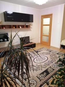 a living room with a potted plant in the middle at Вишенка in Vinnytsya