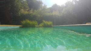 a pool of blue water with trees in the background at Chateau Igny in La Perche
