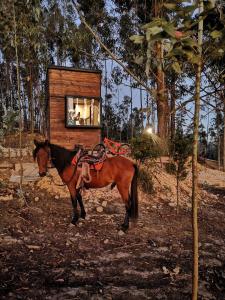 un caballo parado frente a una casita en El Bosque de Paipa en Paipa