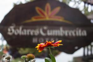 a flower is growing in front of a sign at Solares Cumbrecita Hotel & Apart in La Cumbrecita