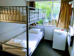 a bunk bed room with two bunk beds and a window at YMCA Hostel in Auckland