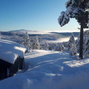 a snow covered hillside with a tree and a lake at Gautefall- High-standard cozy cabin with indoors whirlpool-tub and sauna in Treungen