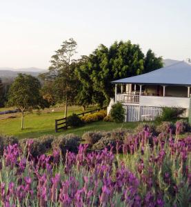 a house in a field with purple flowers at Dayboro - Blue Ridge Lavender Cottage in Dayboro