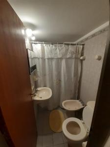uma casa de banho com um WC e um lavatório em Departamento en pleno centro de Ciudad de Mendoza em Mendoza