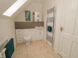 ein Bad mit einem WC und einem Waschbecken in der Unterkunft Millennium Cottage in Alnwick