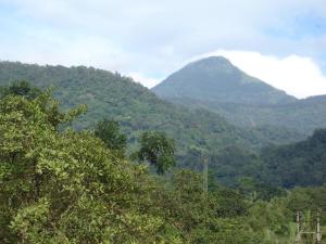 a mountain in the distance with trees in the foreground at Abimon Residency Kollur in Kollūru