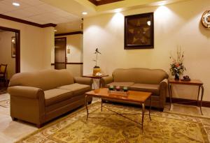 Posezení v ubytování Holiday Inn Express Hotel & Suites Levelland by IHG