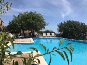 een groot zwembad met blauw water bij Sea View Villa Dvori Sv. Jurja in Jelsa