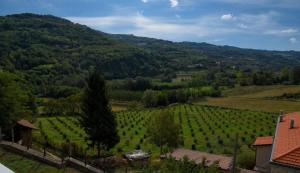 Φωτογραφία από το άλμπουμ του B&B Le Coccinelle σε Torre Bormida