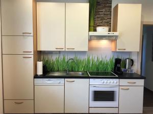 a kitchen with white cabinets and a sink at Apartment Sonne in Waidhofen an der Thaya