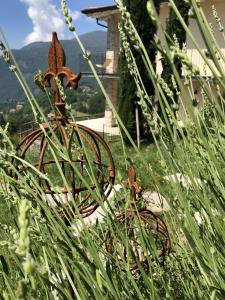 Giardino di BnB Borgo le Vigne - L'Uva rara Only Adults