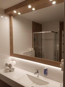 a bathroom with a sink and a large mirror at Hotel Alpina in Kranjska Gora