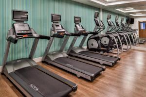 a row of treadmills in a gym at Holiday Inn Express & Suites - Siloam Springs by IHG in Siloam Springs