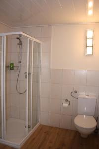 La salle de bains est pourvue d'une douche et de toilettes. dans l'établissement Ferienwohnung Rothirsch, à Bad Sachsa