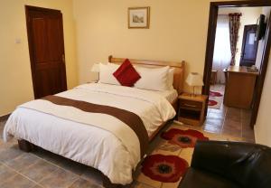 a bedroom with a large bed and a television at Eden Vale Hotel in Ajiringano