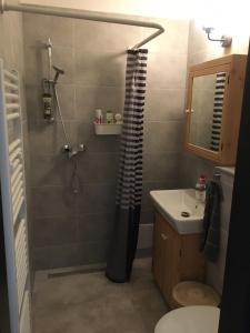 Koupelna v ubytování Apartmán Český Ráj