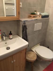 Koupelna v ubytování Apartmán Český Ráj