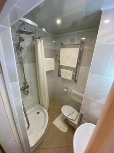 
a bathroom with a toilet, sink, and shower stall at Smolenskhotel in Smolensk
