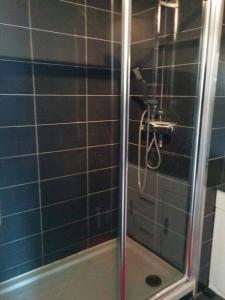 a shower in a bathroom with blue tiles at Cap d'Agde Naturist Héliopolis K 106 in Cap d'Agde