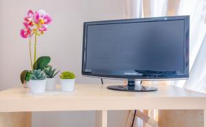 una tv seduta su un tavolo con fiori e piante di Living Room in Leuca a Leuca