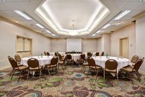 Imagen de la galería de Holiday Inn Windsor - Ambassador Bridge by IHG, en Windsor