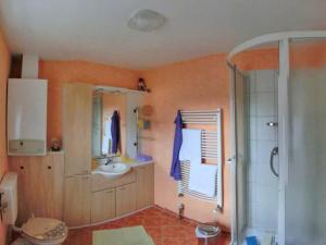 a bathroom with a shower and a sink at Ferienhaus Ursula in Malchow