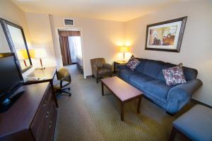 Zona de estar de Holiday Inn Hotel & Suites-West Edmonton, an IHG Hotel