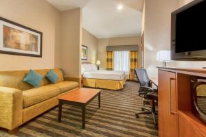 TV a/nebo společenská místnost v ubytování Holiday Inn Express Hotel & Suites Manteca, an IHG Hotel