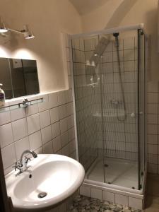 W łazience znajduje się umywalka i przeszklony prysznic. w obiekcie Apartman Bécsi utca w mieście Sopron