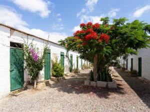 Ogród w obiekcie Casita 2 caserío de guaza