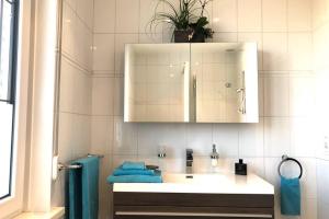 a bathroom with a sink and a cabinet at Modern 1BR house near Heysel, Expo, Palais 12, Atomium, UZVUB et stade Roi Baudouin in Wemmel