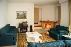 Gallery image of Villa Mainalo - House near the Forest & Ski resort 