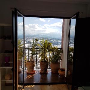 Príroda v okolí apartmánu