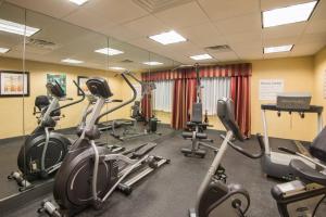 a gym with several treadmills and elliptical machines at Holiday Inn Express Hotel & Suites Wauseon, an IHG Hotel in Wauseon