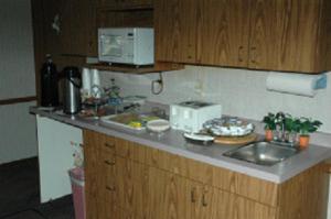 eine Küchentheke mit einer Spüle und einer Mikrowelle in der Unterkunft Lakeview Inn in Willmar