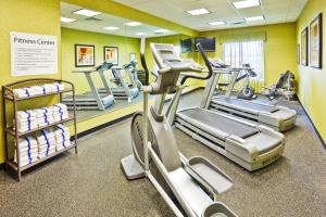 a gym with treadmills and elliptical machines at Holiday Inn Express Hotel & Suites Ooltewah Springs - Chattanooga, an IHG Hotel in Ooltewah