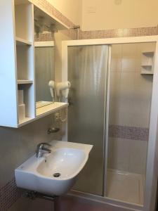 ein Bad mit einem Waschbecken und einer Dusche in der Unterkunft Hotel American in Lido di Jesolo