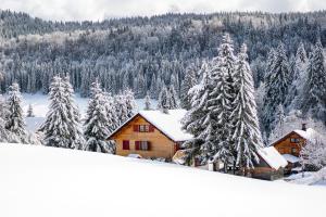 a cabin in the snow with snow covered trees at Le Diable Bleu in Lamoura