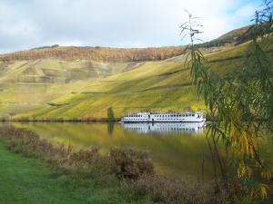 a boat on a river in a field at Penthouse Mosel Hunter in Gornhausen