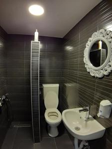 a bathroom with a toilet and a sink and a mirror at Cumurija Bridge Accommodation in Sarajevo +29 photos