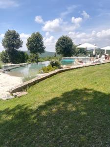 a swimming pool in a yard with a grass field at Mommialla il Baluardo in Gambassi Terme