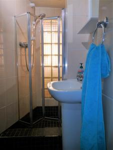 ein Bad mit einem Waschbecken und einer Dusche in der Unterkunft Heritage City - The Auld Pottery in Edinburgh